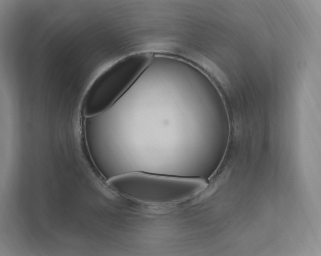 X0000112031077200908031017