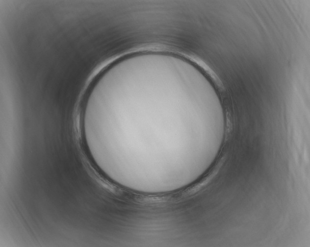 X0000112031078200908031017
