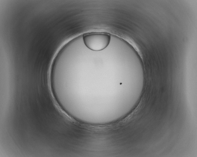 X0000112031080200908031017