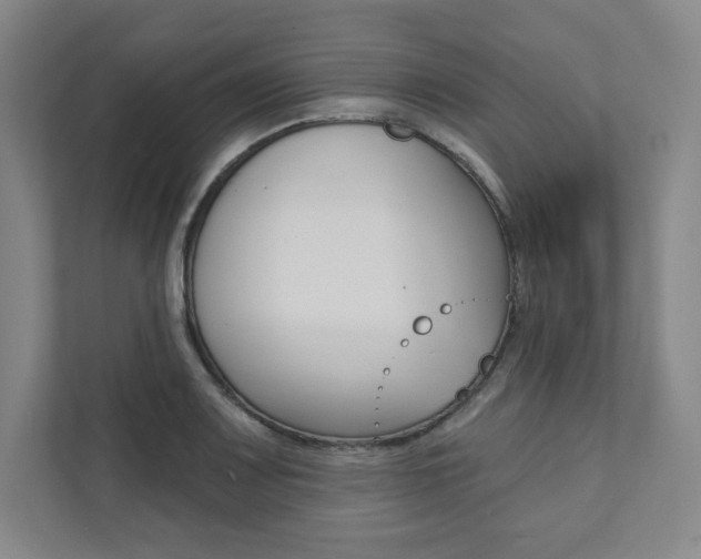 X0000112031083200908031017