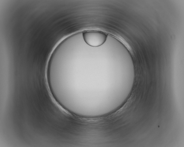 X0000112031084200908031017