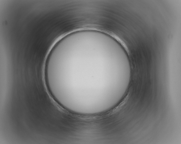 X0000112031085200908031017