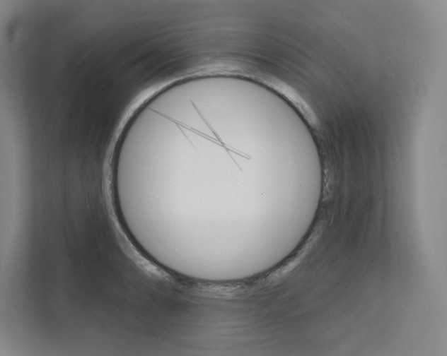 X0000112031086200908031017