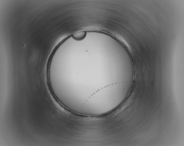 X0000112031087200908031017