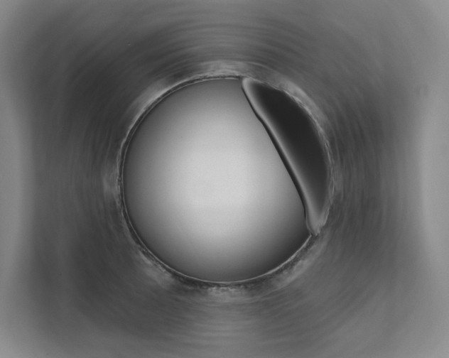X0000112031089200908031017