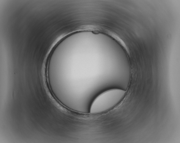 X0000112031091200908031017