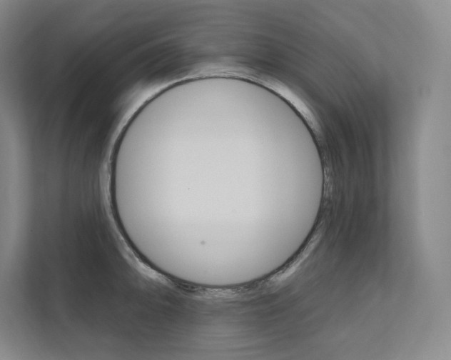 X0000112031094200908031017