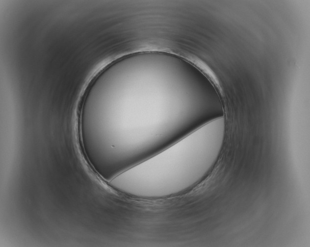 X0000112031096200908031017