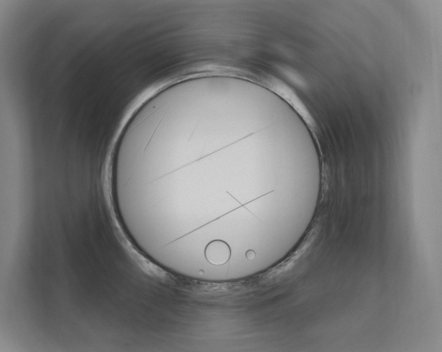 X0000112031098200908031017