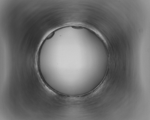 X0000112031102200908031017
