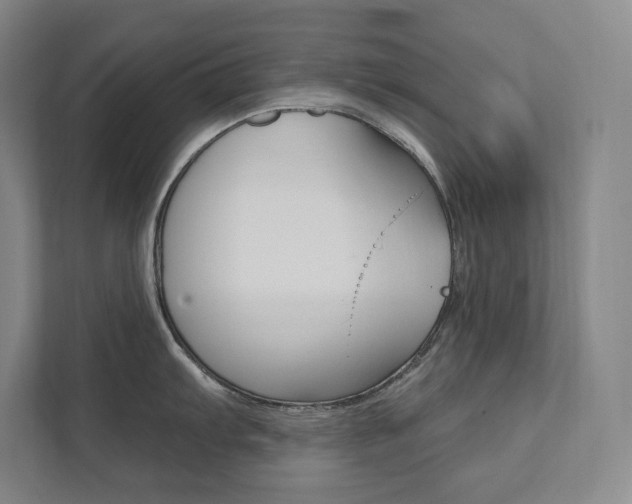 X0000112031103200908031017