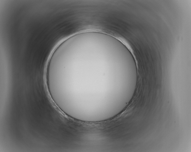 X0000112031104200908031017