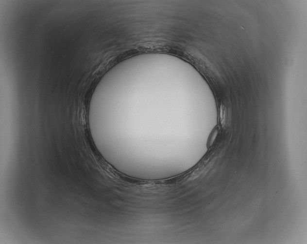 X0000112031107200908031016