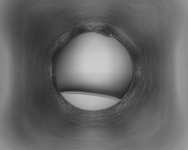 X0000112031108200908031016