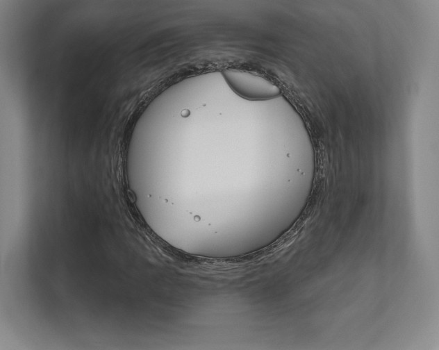 X0000112031109200908031016