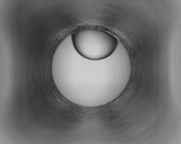 X0000112031110200908031016