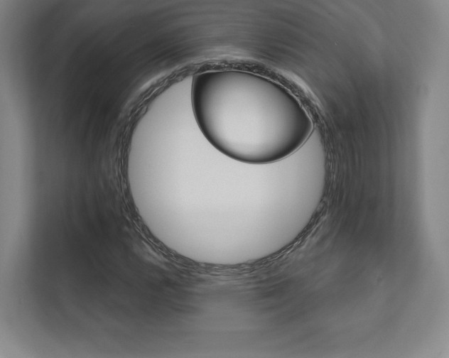 X0000112031112200908031016