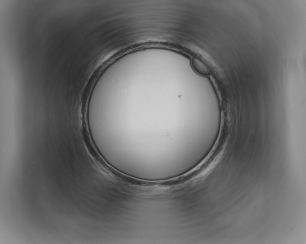 X0000112031113200908031016