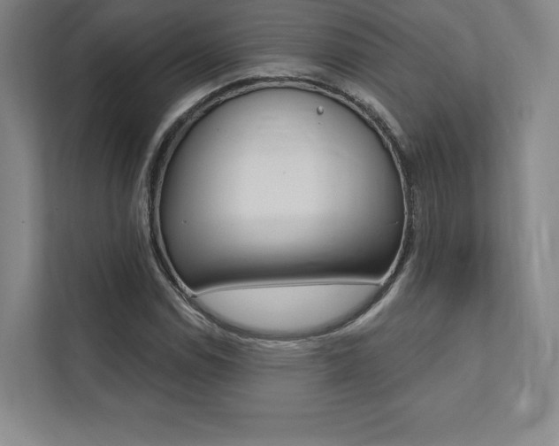 X0000112031114200908031017