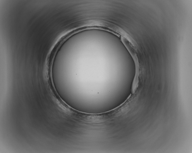 X0000112031116200908031017