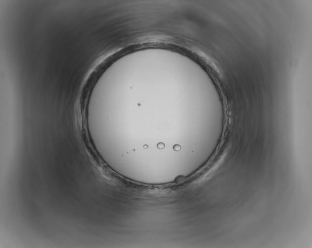 X0000112031117200908031017