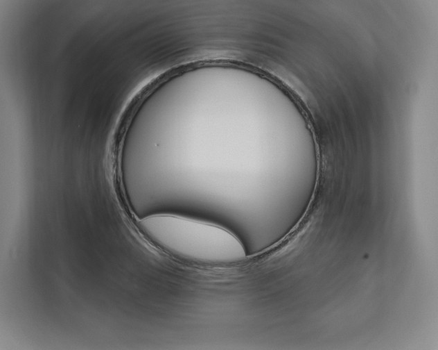 X0000112031119200908031017