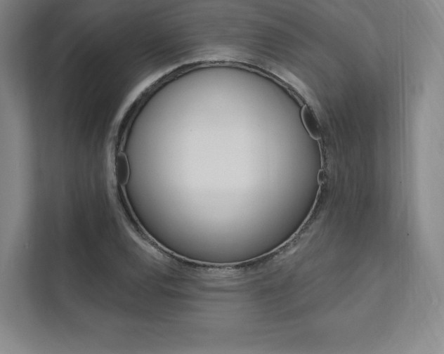 X0000112031120200908031017