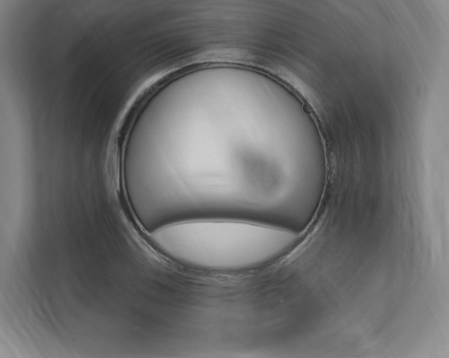X0000112031123200908031017