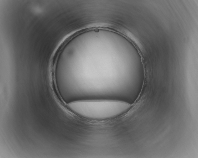 X0000112031124200908031017