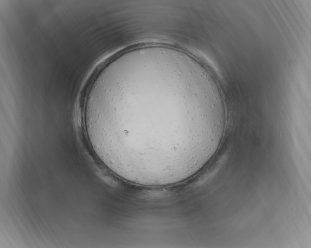 X0000112031125200908031017