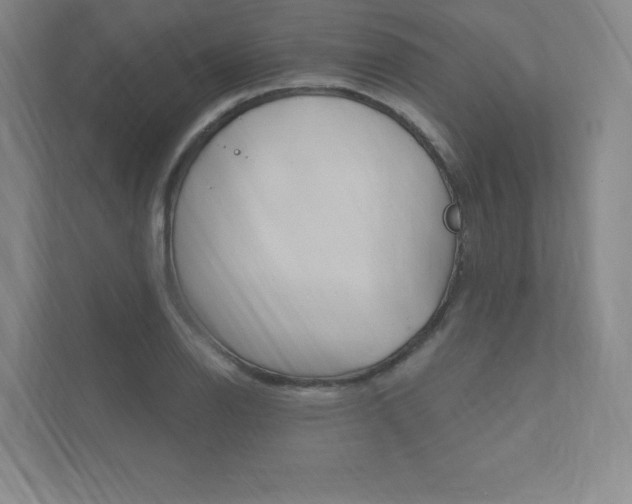 X0000112031126200908031017