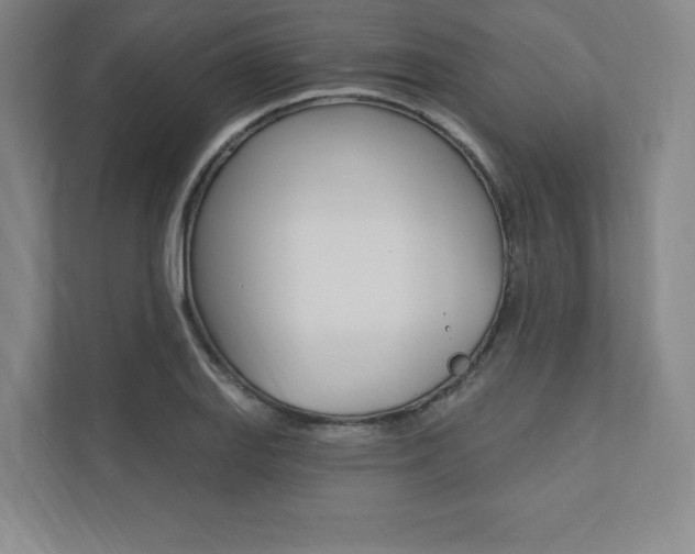 X0000112031127200908031017