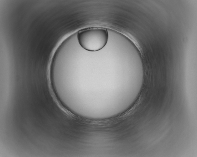 X0000112031128200908031017
