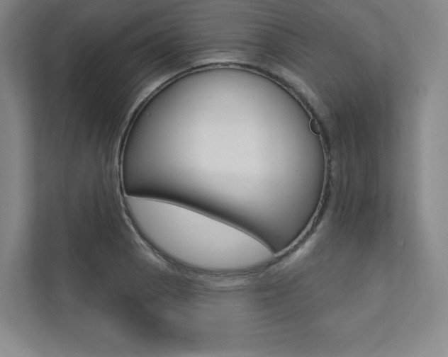X0000112031129200908031017