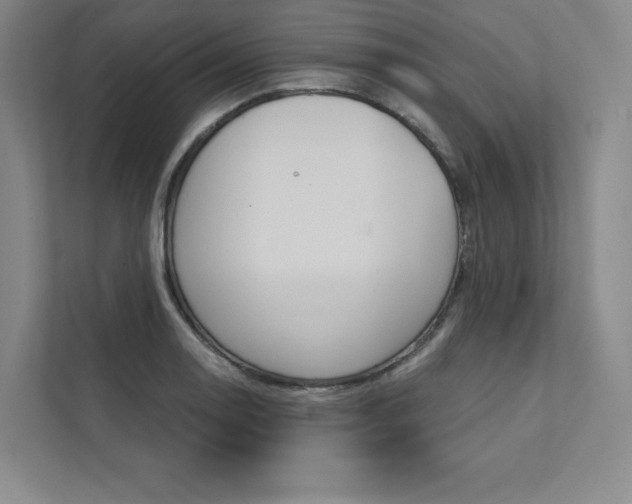 X0000112031130200908031017