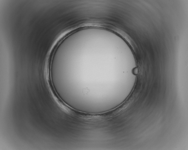 X0000112031131200908031017