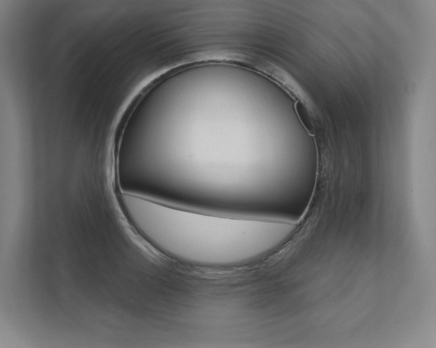 X0000112031132200908031017