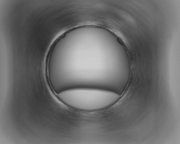 X0000112031135200908031017