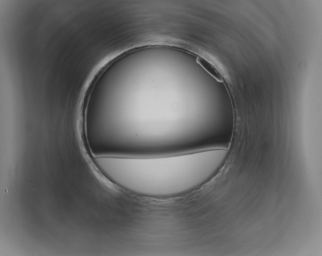 X0000112031136200908031017