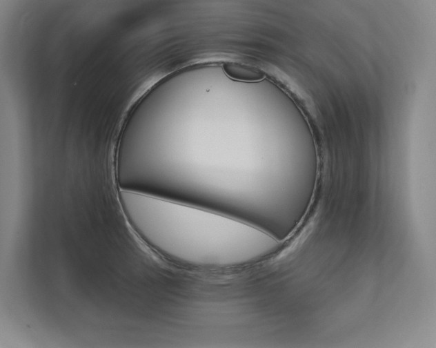 X0000112031137200908031017