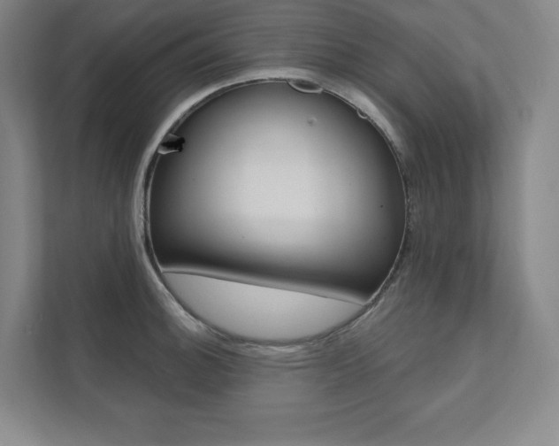 X0000112031140200908031017