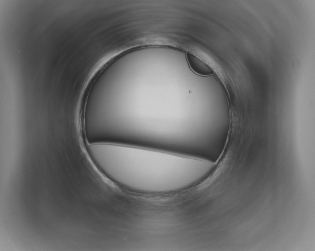 X0000112031141200908031017
