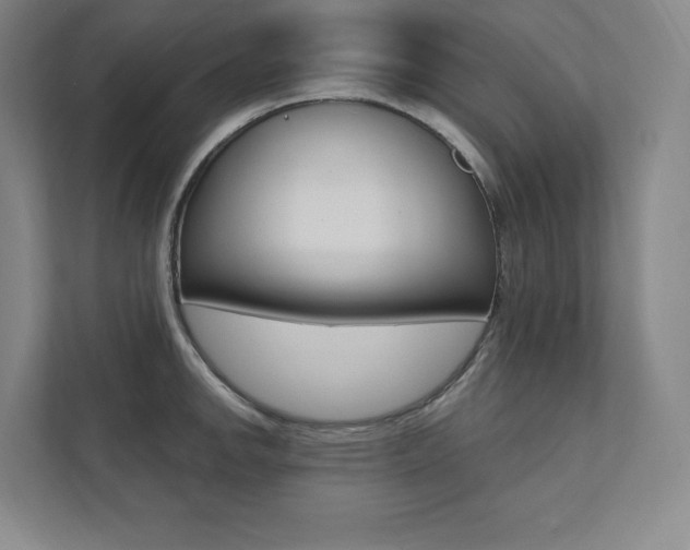 X0000112031142200908031017