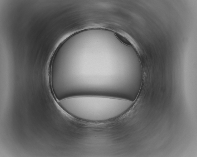 X0000112031143200908031017