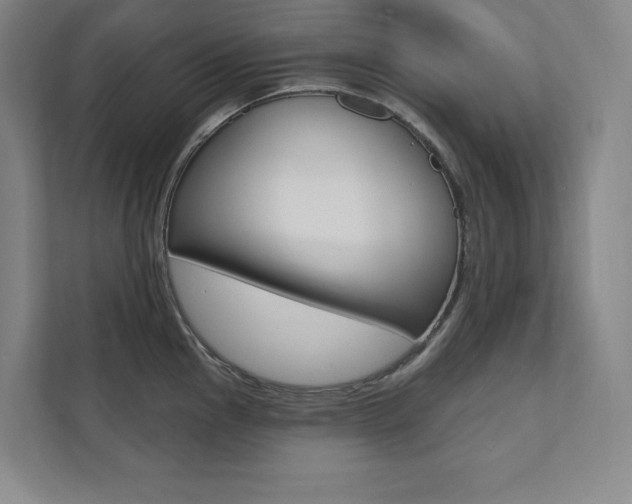 X0000112031145200908031017