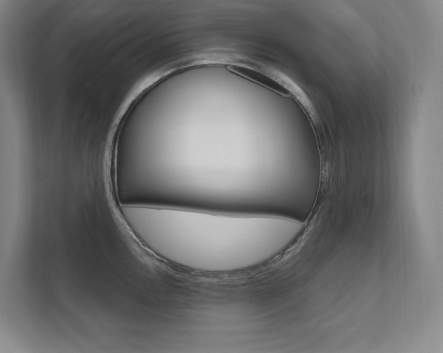 X0000112031146200908031017