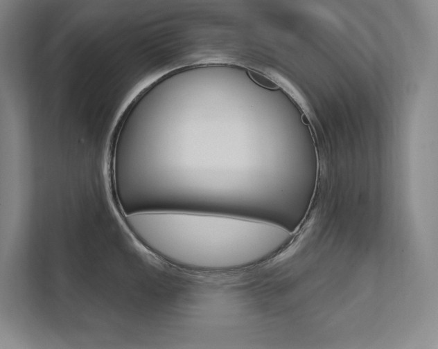X0000112031149200908031017