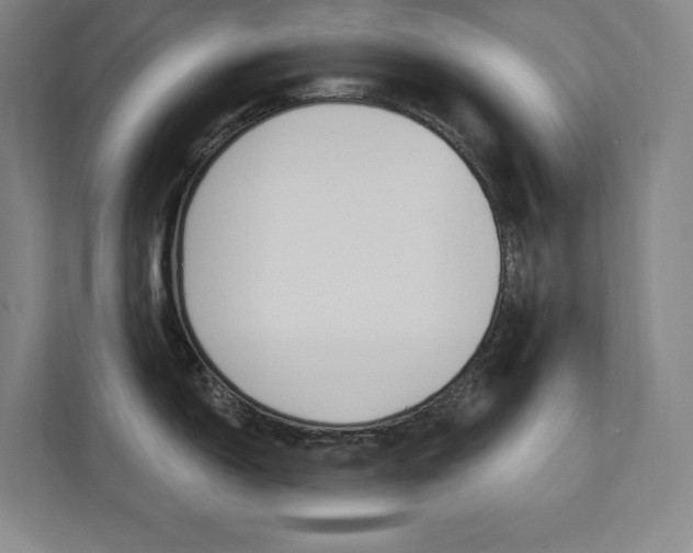 X0000112031150200908031017