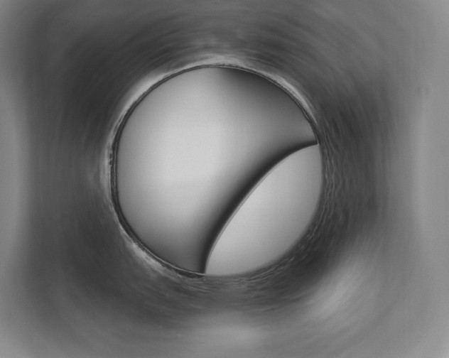 X0000112031151200908031017