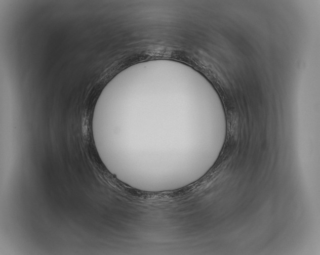 X0000112031154200908031016